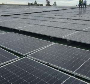 Công ty TNHH MTV Tungtex Fashion Việt Nam