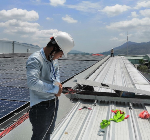 Công Ty TNHH Thực Phẩm Sakura