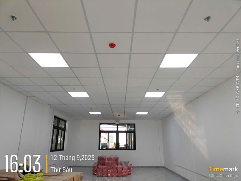 Thi công lắp đặt hệ thống chiếu sáng bên trong nhà máy