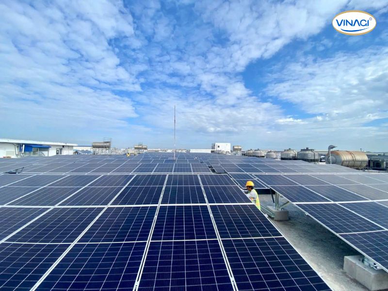 Tác động của Chỉ thị: Doanh nghiệp nên làm gì?