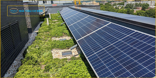 Vệ sinh tấm pin mặt trời định kỳ sẽ giúp tăng hiệu suất bao nhiêu?